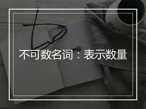 不可数名词：表示数量