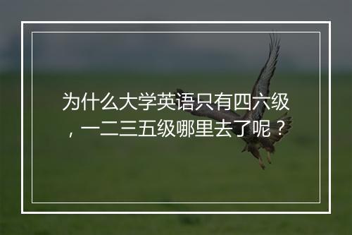 为什么大学英语只有四六级，一二三五级哪里去了呢？