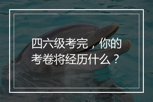 四六级考完，你的考卷将经历什么？