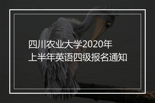 四川农业大学2020年上半年英语四级报名通知