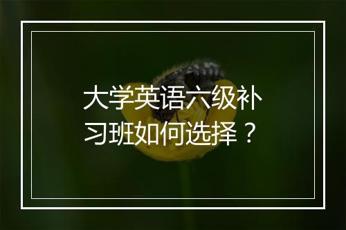 大学英语六级补习班如何选择？