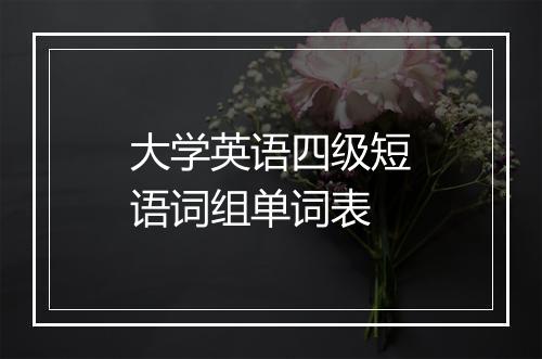 大学英语四级短语词组单词表