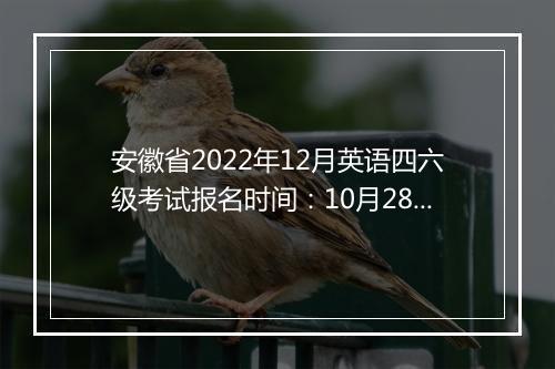 安徽省2022年12月英语四六级考试报名时间：10月28日