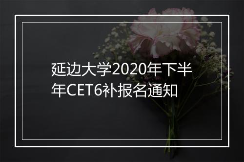 延边大学2020年下半年CET6补报名通知