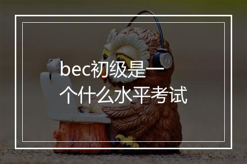 bec初级是一个什么水平考试