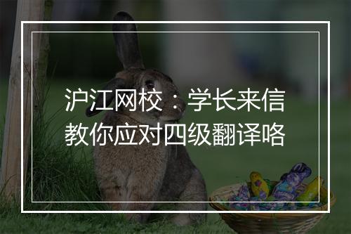 沪江网校：学长来信教你应对四级翻译咯