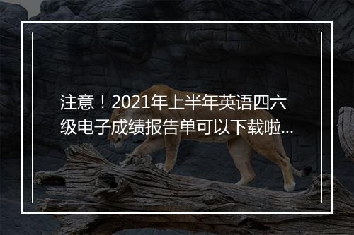 注意！2021年上半年英语四六级电子成绩报告单可以下载啦~