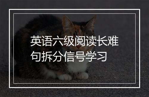 英语六级阅读长难句拆分信号学习