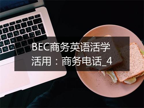 BEC商务英语活学活用：商务电话_4