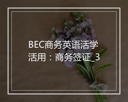 BEC商务英语活学活用：商务签证_3