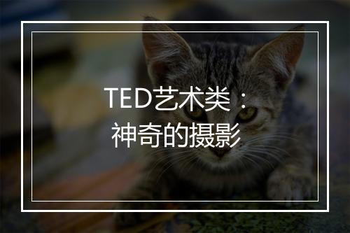 TED艺术类： 神奇的摄影