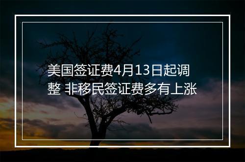 美国签证费4月13日起调整 非移民签证费多有上涨