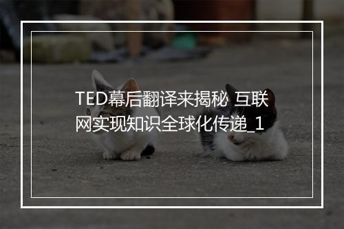 TED幕后翻译来揭秘 互联网实现知识全球化传递_1