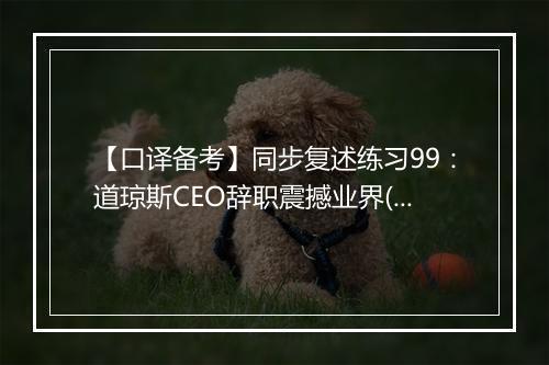 【口译备考】同步复述练习99：道琼斯CEO辞职震撼业界(视频)_1