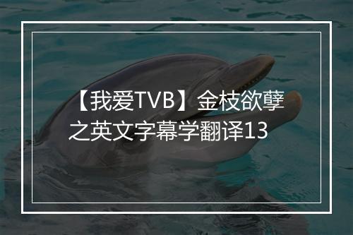 【我爱TVB】金枝欲孽之英文字幕学翻译13