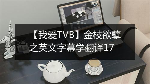 【我爱TVB】金枝欲孽之英文字幕学翻译17