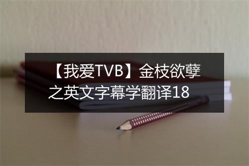 【我爱TVB】金枝欲孽之英文字幕学翻译18