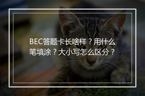 BEC答题卡长啥样？用什么笔填涂？大小写怎么区分？