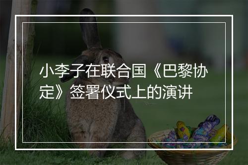 小李子在联合国《巴黎协定》签署仪式上的演讲