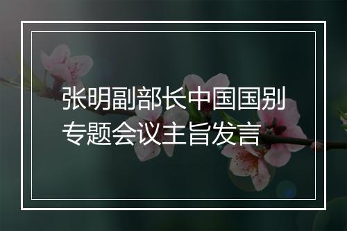 张明副部长中国国别专题会议主旨发言