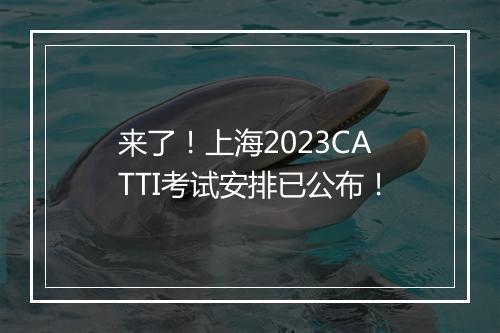 来了！上海2023CATTI考试安排已公布！