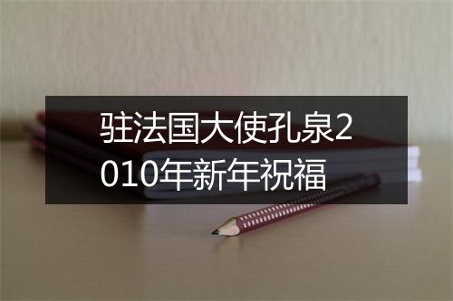 驻法国大使孔泉2010年新年祝福