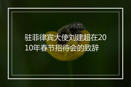 驻菲律宾大使刘建超在2010年春节招待会的致辞