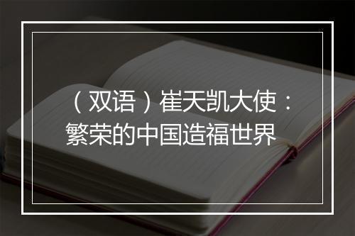 （双语）崔天凯大使：繁荣的中国造福世界