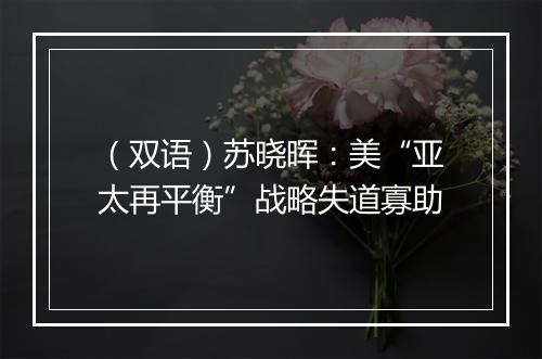 （双语）苏晓晖：美“亚太再平衡”战略失道寡助