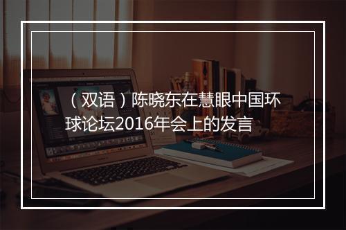 （双语）陈晓东在慧眼中国环球论坛2016年会上的发言