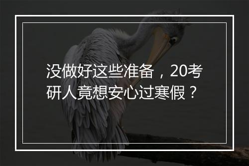 没做好这些准备，20考研人竟想安心过寒假？