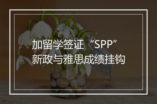 加留学签证“SPP”新政与雅思成绩挂钩