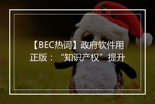 【BEC热词】政府软件用正版：“知识产权”提升