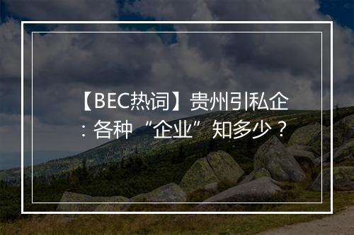 【BEC热词】贵州引私企：各种“企业”知多少？