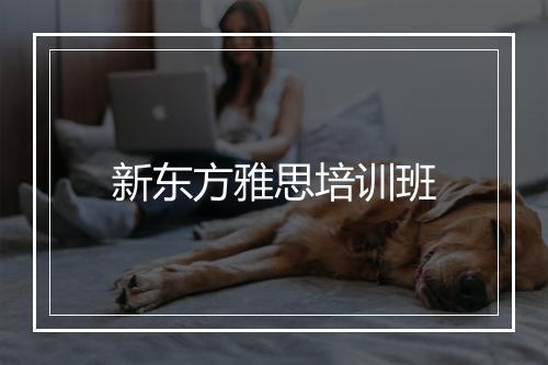 新东方雅思培训班