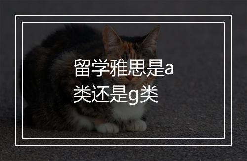 留学雅思是a类还是g类