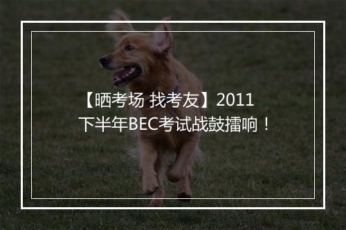 【晒考场 找考友】2011下半年BEC考试战鼓擂响！