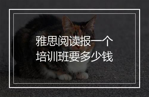 雅思阅读报一个培训班要多少钱