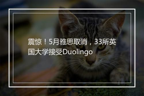 震惊！5月雅思取消，33所英国大学接受Duolingo