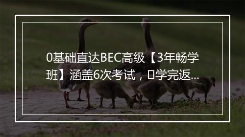 0基础直达BEC高级【3年畅学班】涵盖6次考试，​学完返学费！