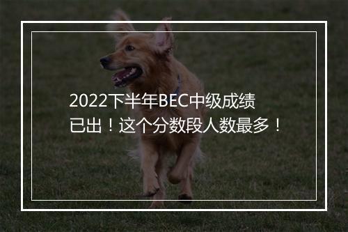 2022下半年BEC中级成绩已出！这个分数段人数最多！