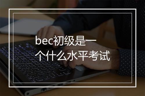 bec初级是一个什么水平考试