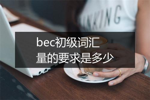 bec初级词汇量的要求是多少