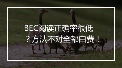 BEC阅读正确率很低？方法不对全都白费！