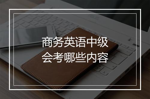 商务英语中级会考哪些内容