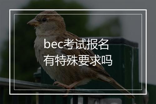 bec考试报名有特殊要求吗