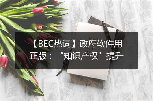 【BEC热词】政府软件用正版：“知识产权”提升