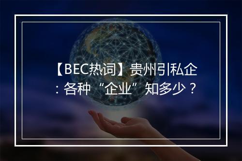 【BEC热词】贵州引私企：各种“企业”知多少？