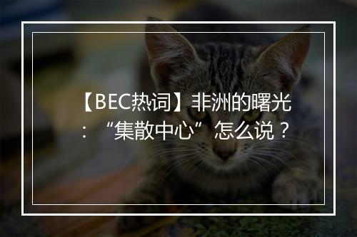 【BEC热词】非洲的曙光：“集散中心”怎么说？