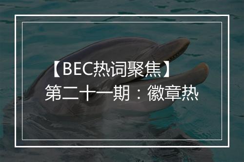 【BEC热词聚焦】第二十一期：徽章热